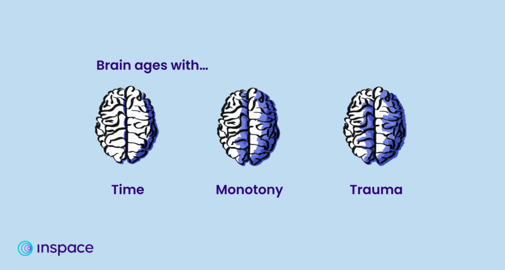 An illustration of three brains shown next to each other. The illustration is titled "Brain ages with..." and each brain is labeled in turn: Time. Monotony. Trauma. 